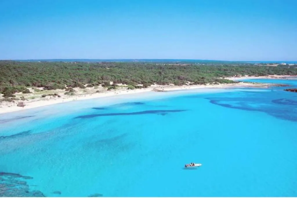 Apartment Vistamar Sa Rapita Mallorca,Primera Linea De Playa Spain